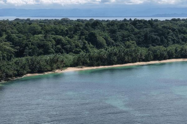 Propiedad boscosa frente al mar de 2,4 hectáreas en drago