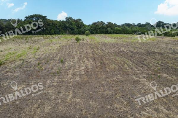 Venta de terreno en rio hato
