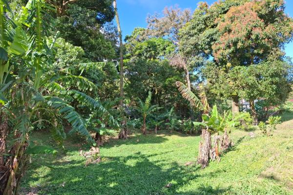 Exceptional mountain lot in el valle de antón!