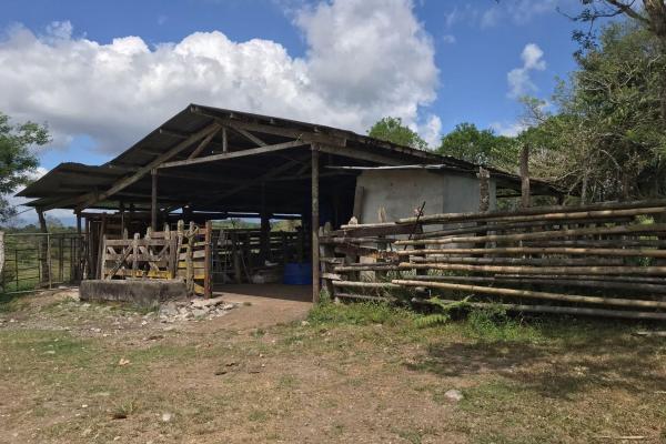 Amplia propiedad de 146.652 ha con fuentes de agua