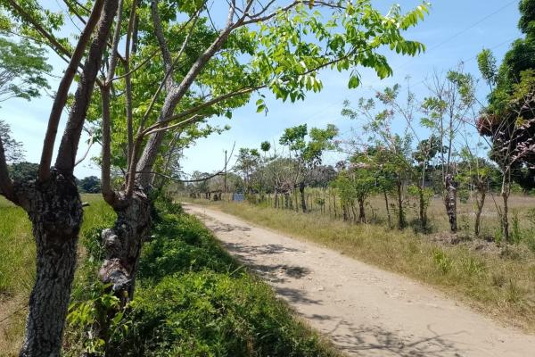 Land 172 acres in puerto armuelles, limones io