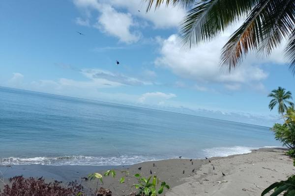 Terreno 69 hectareas en puerto armuelles, limones oportunidad de inversión