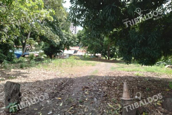 Venta de terreno en pueblo nuevo