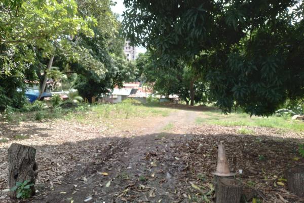Venta de terreno en pueblo nuevo