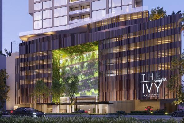 The ivy, santamaria