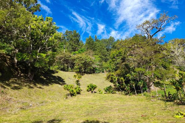 Lote privilegiado en venta en volcán