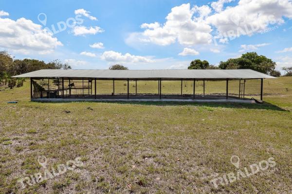 Venta de granja con mejoras en san carlos