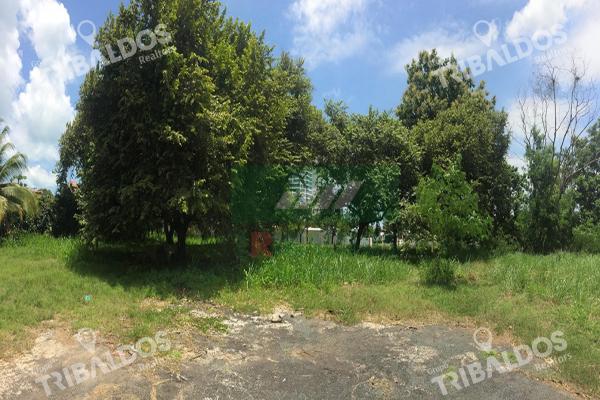 Se vende terreno en coronado