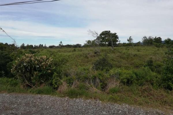 Amplios 5 hectáreas en venta en alto boquete