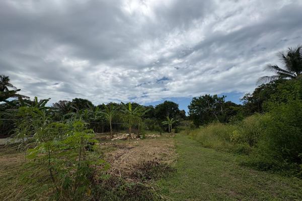 +9 hectáreas de terreno plano frente al mar en venta