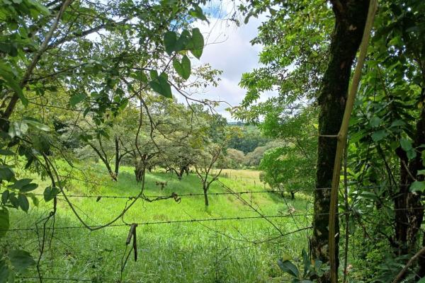 Land for sale, facing the street