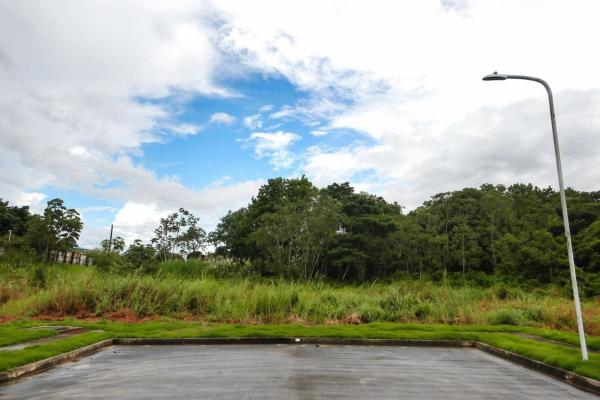 Industrial land for sale in tocumen storage c