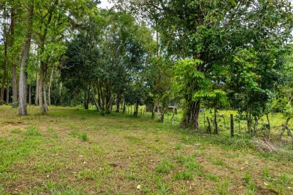 Se vende terreno de 1.9 hectáreas en potrerillos arriba