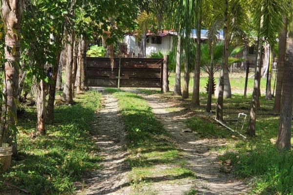 Se vende casa con plantación en nueva gorgona, chame