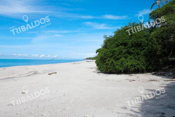 Terreno frente al mar en venta en río hato | 18 hectáreas | us$38/m²