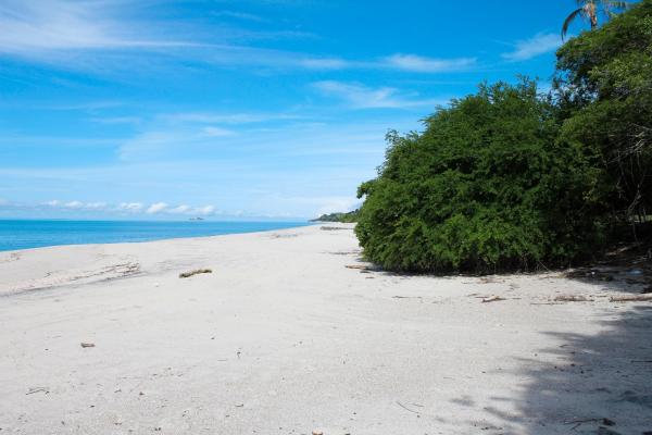 Oceanfront land for sale in río hato | 18 hectares