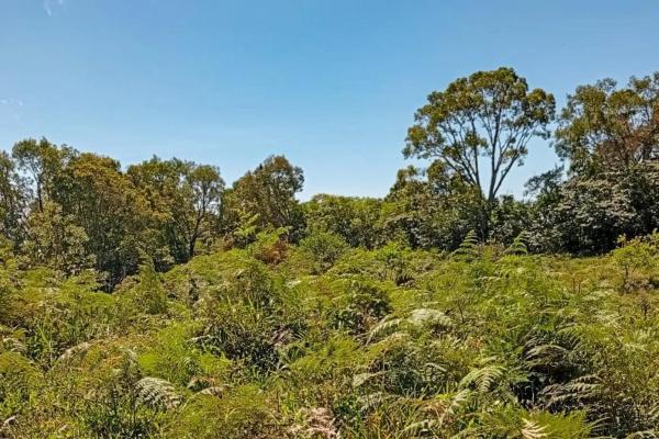 22 hectares with creek and mountain views