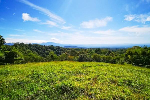 Finca cafetalera en venta en potrerillos arriba