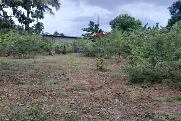 Sale of a property on the inter-american highway