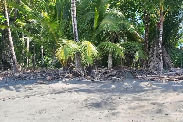 Terreno frente al mar en puerto armuelles panamá