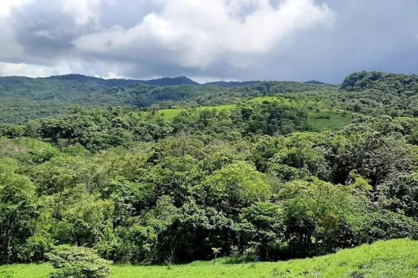 Finca de 68 hectareas en chicá, panama oeste