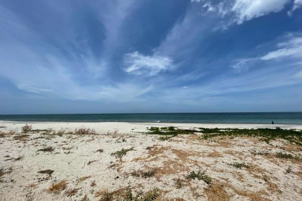 Venta de terreno con acceso al mar en rio hato