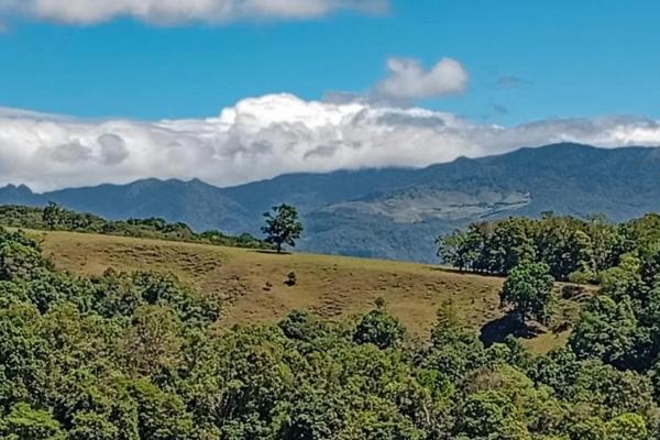 22 hectares with creek and mountain views