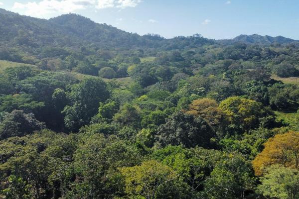Cambutal lush property for sale near town