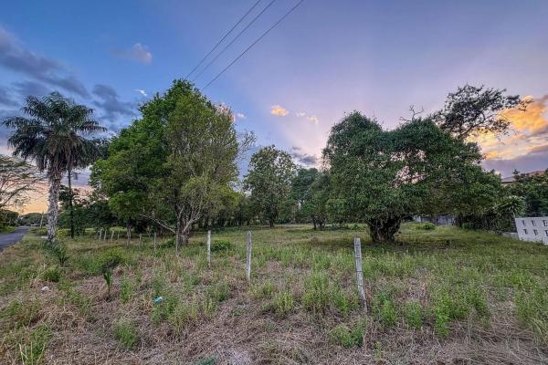 Terreno residencial en venta en la perla, david