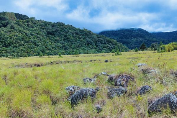 Large residential lot for sale – paso ancho