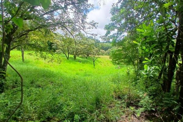 Land for sale, facing the street
