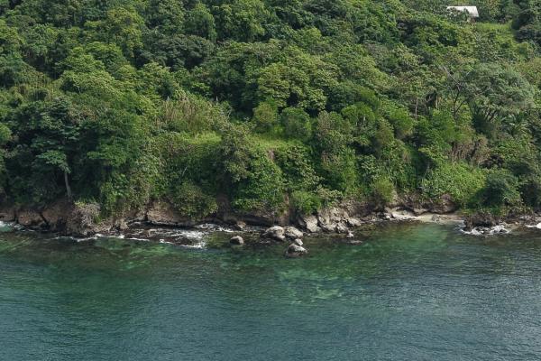 Propiedad boscosa frente al mar de 2,4 hectáreas en drago