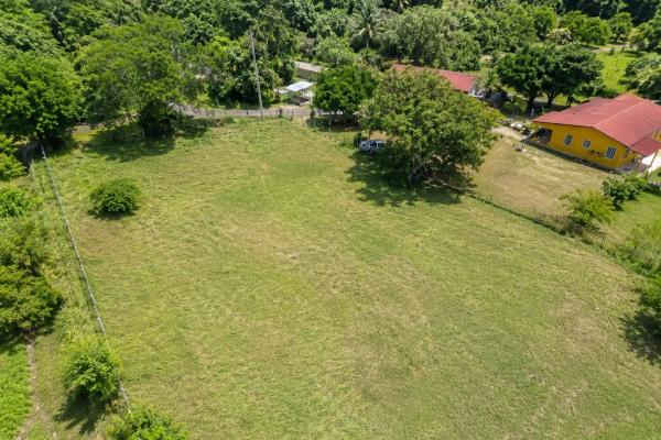 Venta terrenos el espino san carlos