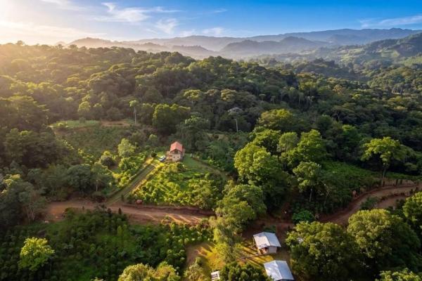 Coffee farm for sale in el cascajal, la pintada