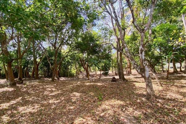 4.3 hectares finca – ideal community project