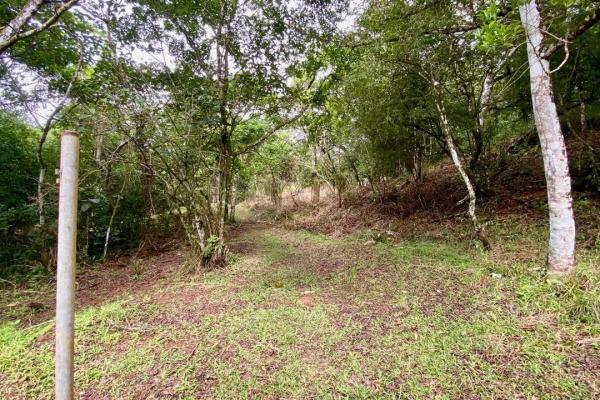 Mountain finca in chica