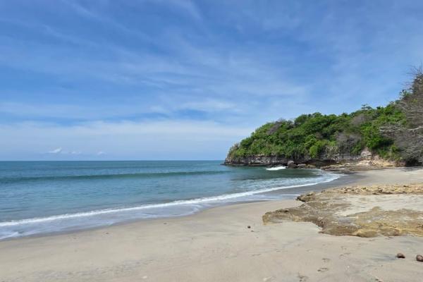 Terreno urbanizable frente al mar en venta | el palmar