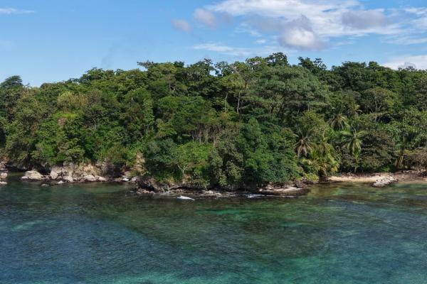Vista de ensueño del mar y la jungla de drago