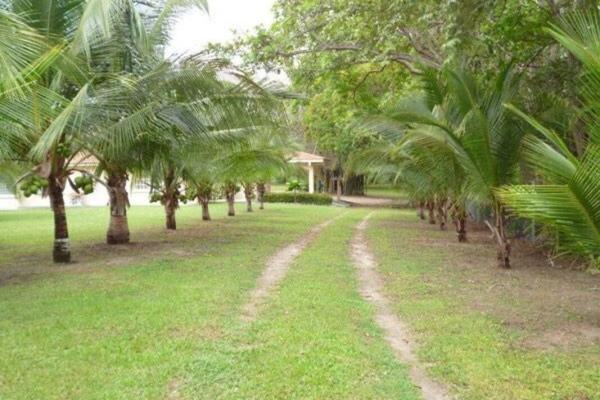 House for sale with land in coloncito, chame