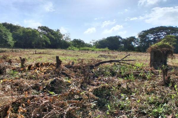 Land for sale, strategic location!