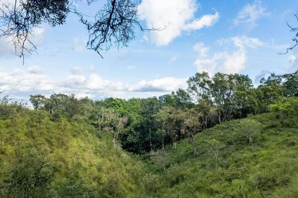 22 hectares with creek and mountain views