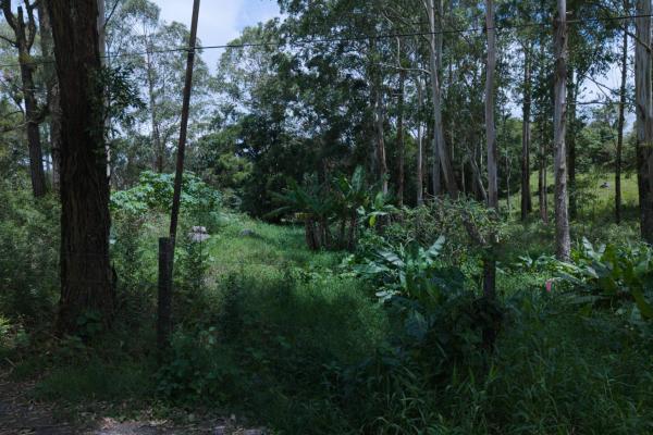 Land with a natural creek