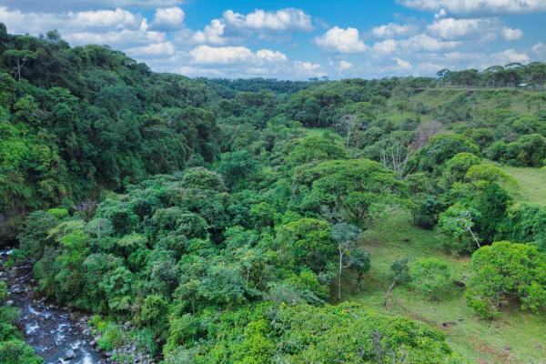 Naturaleza, espacio y potencial en un solo lugar