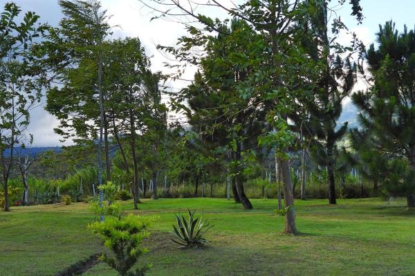 Finca campestre con múltiples edificaciones en palmira
