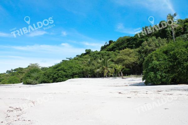Terreno frente al mar en venta en río hato | 18 hectáreas | us$38/m²