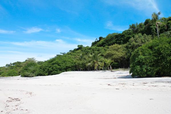 Oceanfront land for sale in río hato | 18 hectares
