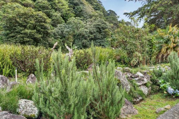 Finca frente al río bambito en venta | volcán panamá