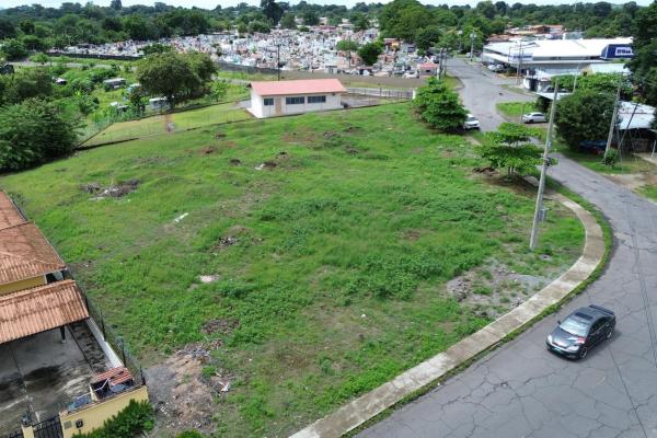 Commercial lot for sale in david