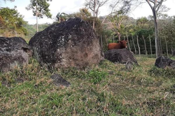 Finca de 68 hectareas en chicá, panama oeste