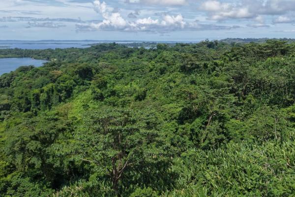 Terreno agrícola de 110 hectáreas frente al mar